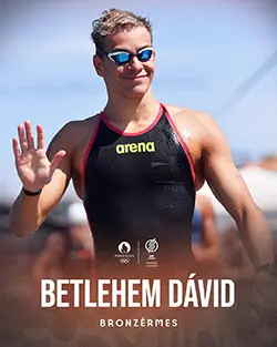 bethlem-david.webp