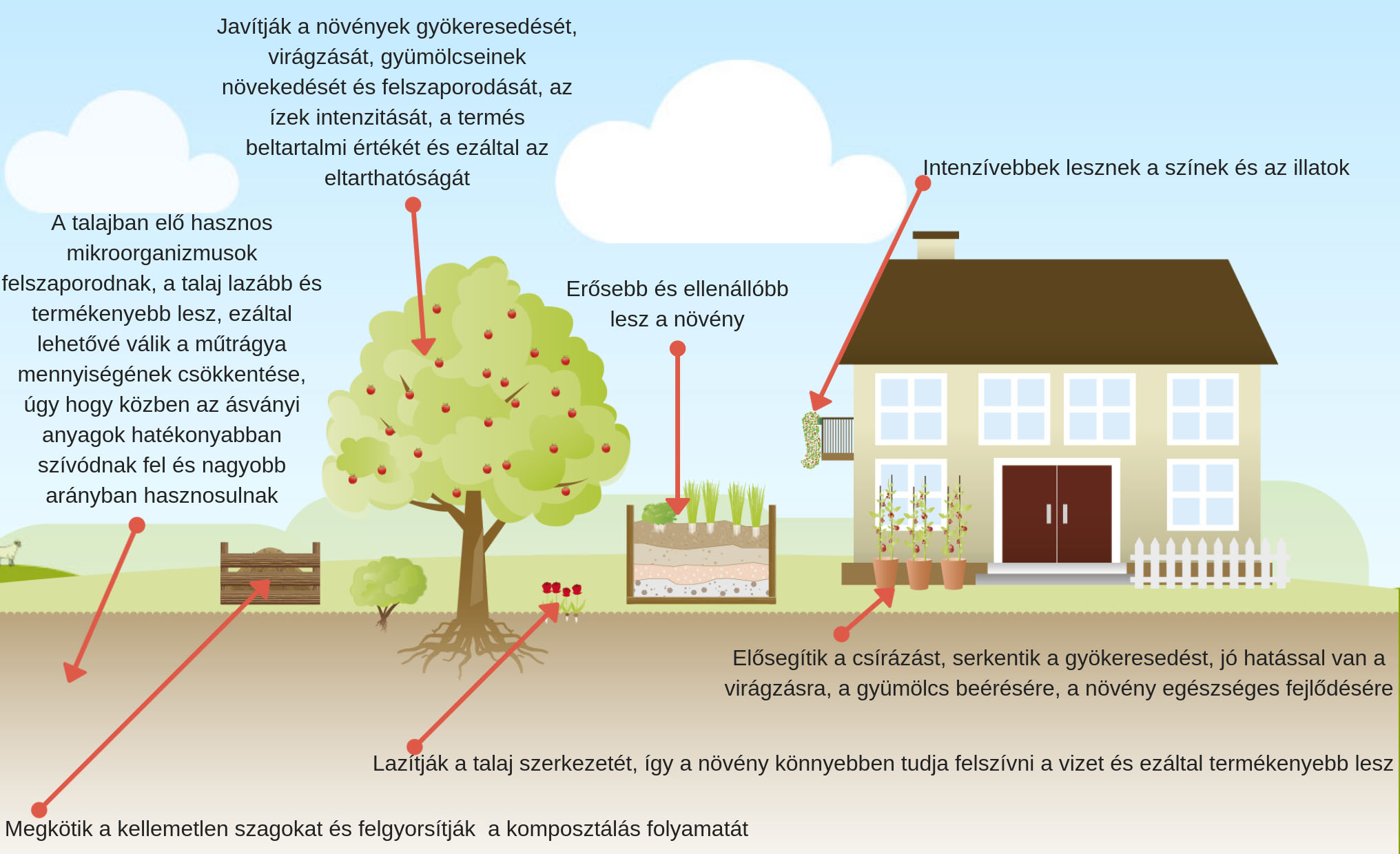 embio-talajregeneracio.jpg